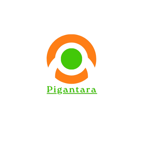 PIGANTARA_Company_Logo-removebg-preview (1)